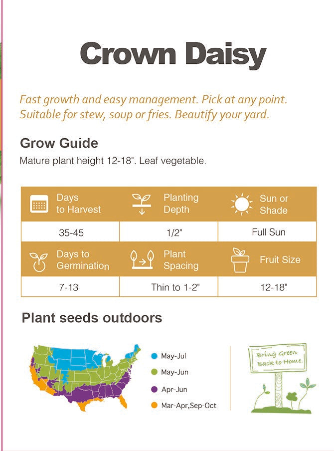 Crown Daisy Seeds Non-GMO Asian Greens Edible Salad Garden