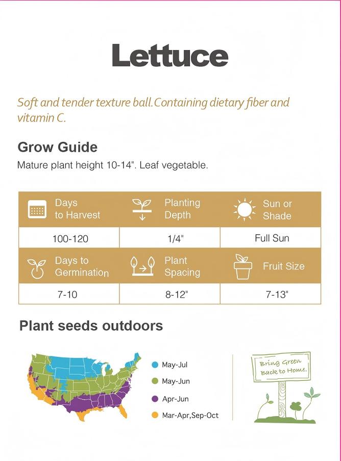 Crystal Crisp Lettuce Seeds 500+ Non-GMO Sweet Crunchy Easy Grow