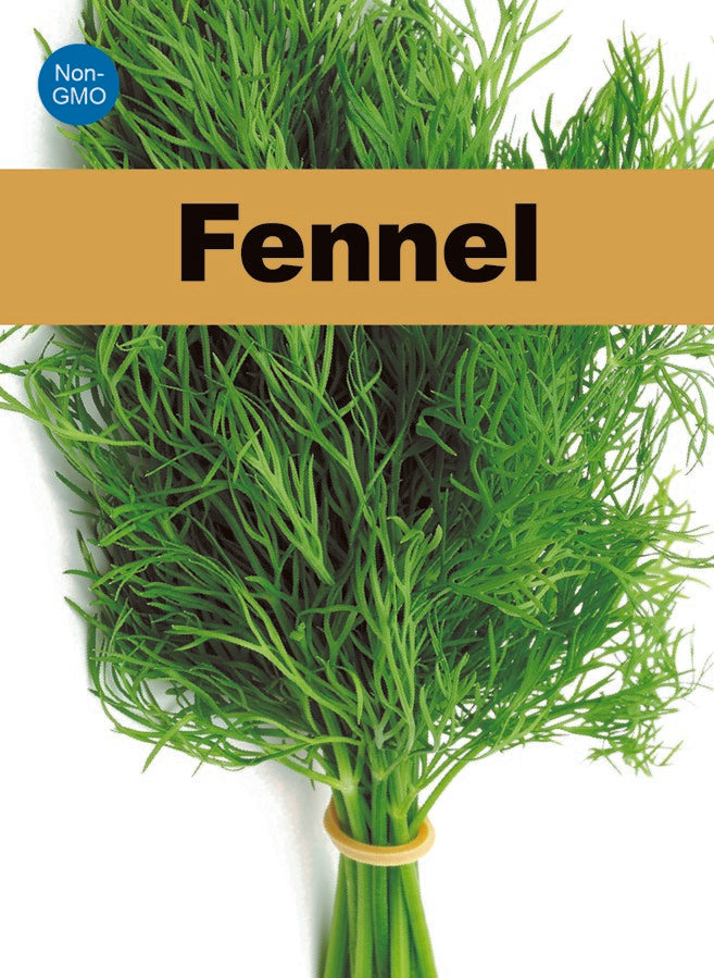 Fennel Seeds 100+ Non-GMO Sweet Aroma Herb Garden Culinary