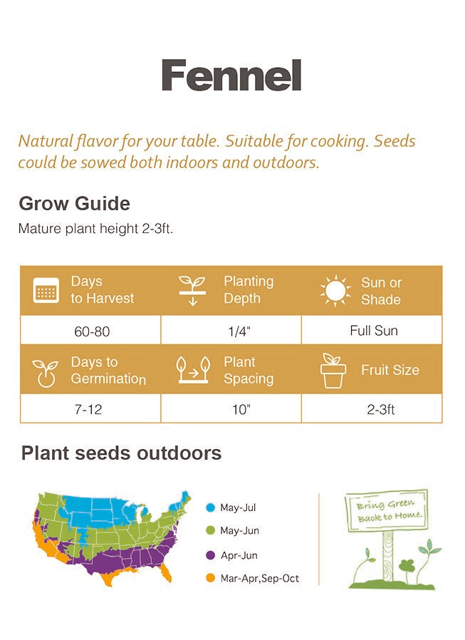 Fennel Seeds 100+ Non-GMO Sweet Aroma Herb Garden Culinary