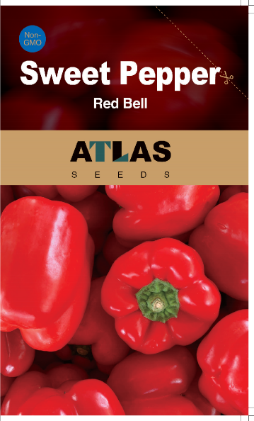 Giant Red Bell Pepper Seeds 50+ Non-GMO Sweet High Yield Easy Grow