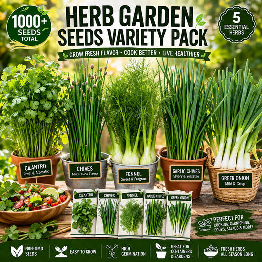 1000+ Herb Garden Seeds Variety Pack Cilantro Chives Fennel Onion Mix