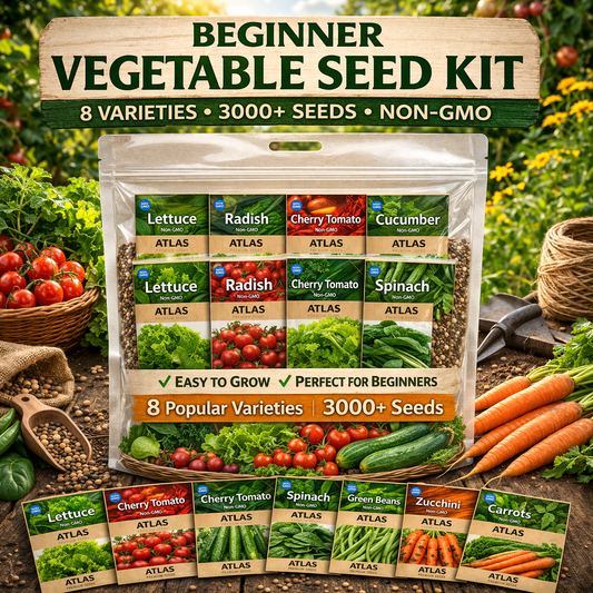 Beginner Vegetable Seed Kit 8 Varieties 3000+ Seeds Easy Grow Non-GMO