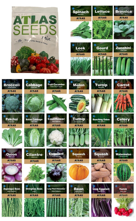 29 Varieties Atlas Vegetable Seeds Survival Garden Kit - Over 35000 Seeds