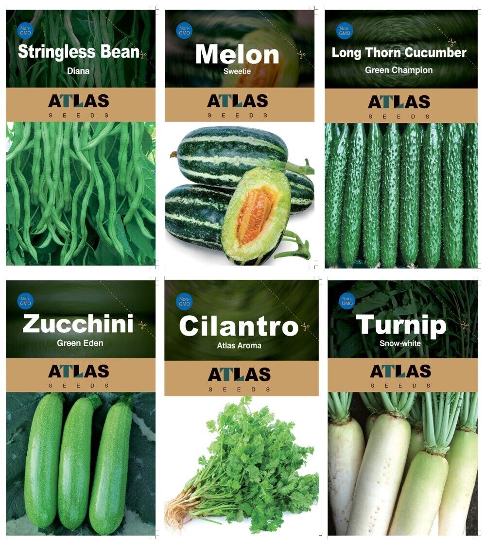 29 Varieties Atlas Vegetable Seeds Survival Garden Kit - Over 35000 Seeds